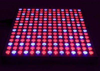 ライト45Wフラット パネルの屋内植物を育てるために導かれる38W 0.5m2/0.3mの水耕栽培