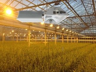 屋内155lm/w 160000lmはライト、1000W HPSを育てるライトを育てる