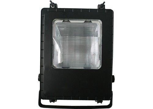 100w IP65の競技場はライト掲示板の金属のハロゲン化物広告を育てる