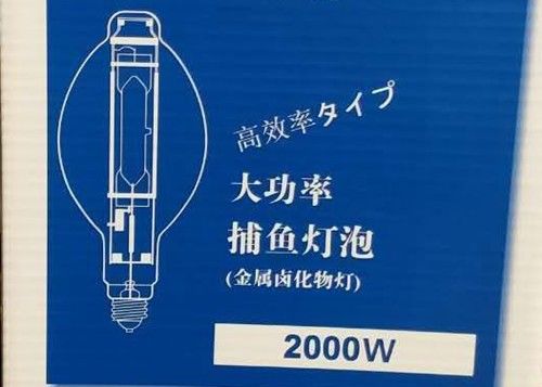 BT220 2000w MHの球根の魚のランプによって隠される金属のHalideイカ釣ランプ