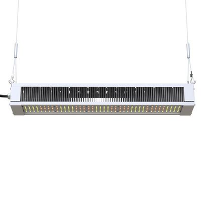 完全なスペクトルLEDが軽く細い棒、AL1100園芸LEDを育てるRikoLite 240Wはライトを育てる
