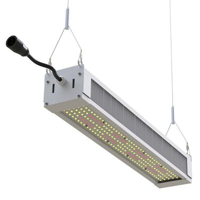 完全なスペクトルLEDが軽く細い棒、AL1100園芸LEDを育てるRikoLite 240Wはライトを育てる
