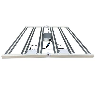 2.5μmol/J 700Wの園芸LEDは720W LEDが軽い多層の棚を育てるライトを育てる