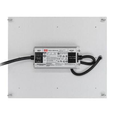 ライト量子板167.3umol/Sを育てるために導かれるRikoLite 100W 277vacの水耕栽培
