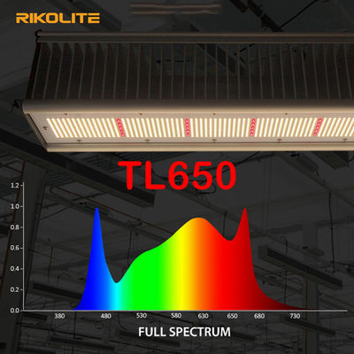Veg/花のためのライト630Wを育てるために導かれるTL650標準1755umol/Sの温室