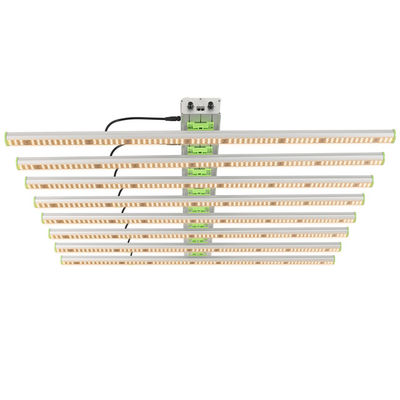 600W 1560μMolの植物LEDはつける6つの棒EPAR 380nm-760nmを育つ