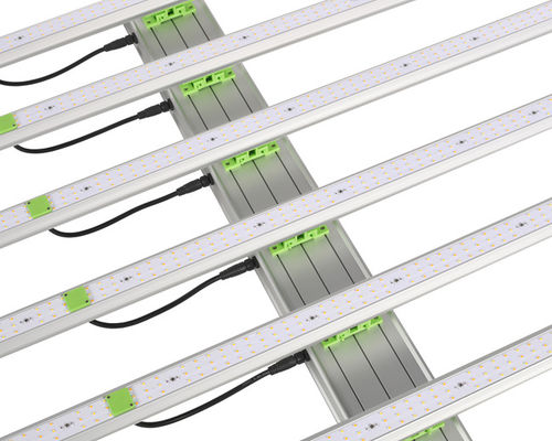 600W 1560μMolの植物LEDはつける6つの棒EPAR 380nm-760nmを育つ