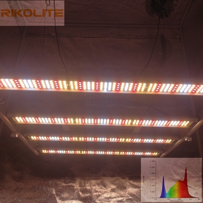 ギャラクシー2835SMD LED 240W 4は折り畳み式の植物を育てるライト0を- 10V Dimmable禁止する
