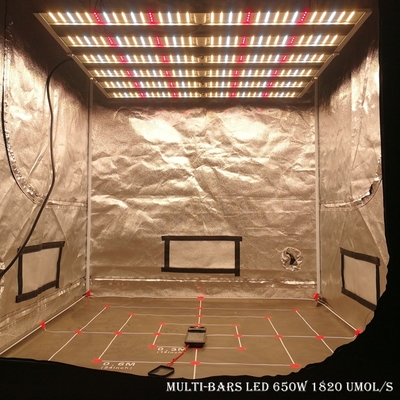 RikoLite 650W 1820umol/S 6棒温室LEDはライトを育てる