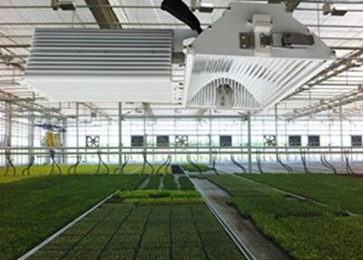 1050µMol/Sによって隠されるLEDはライト、630Wを収穫する陶磁器の金属のハロゲン化物を育つ軽く育てる